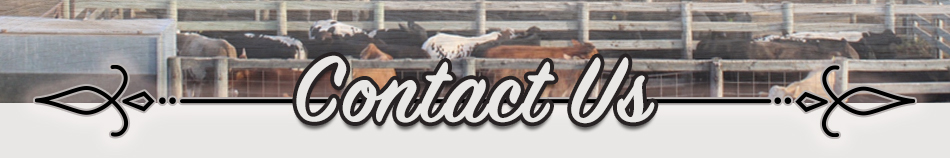 Contact Us