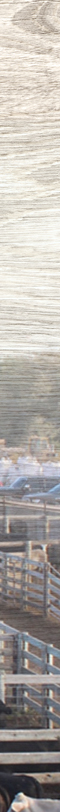 Western Livestock Commission and Order Buying Company