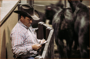 Western Livestock