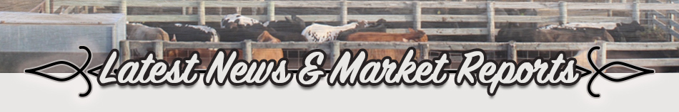 Latest News and Market Reports