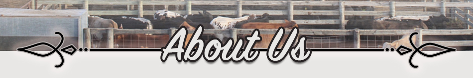 About Us